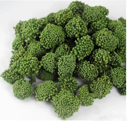 怎么分辨三七花和人参花,三七花和三七花有什么区别