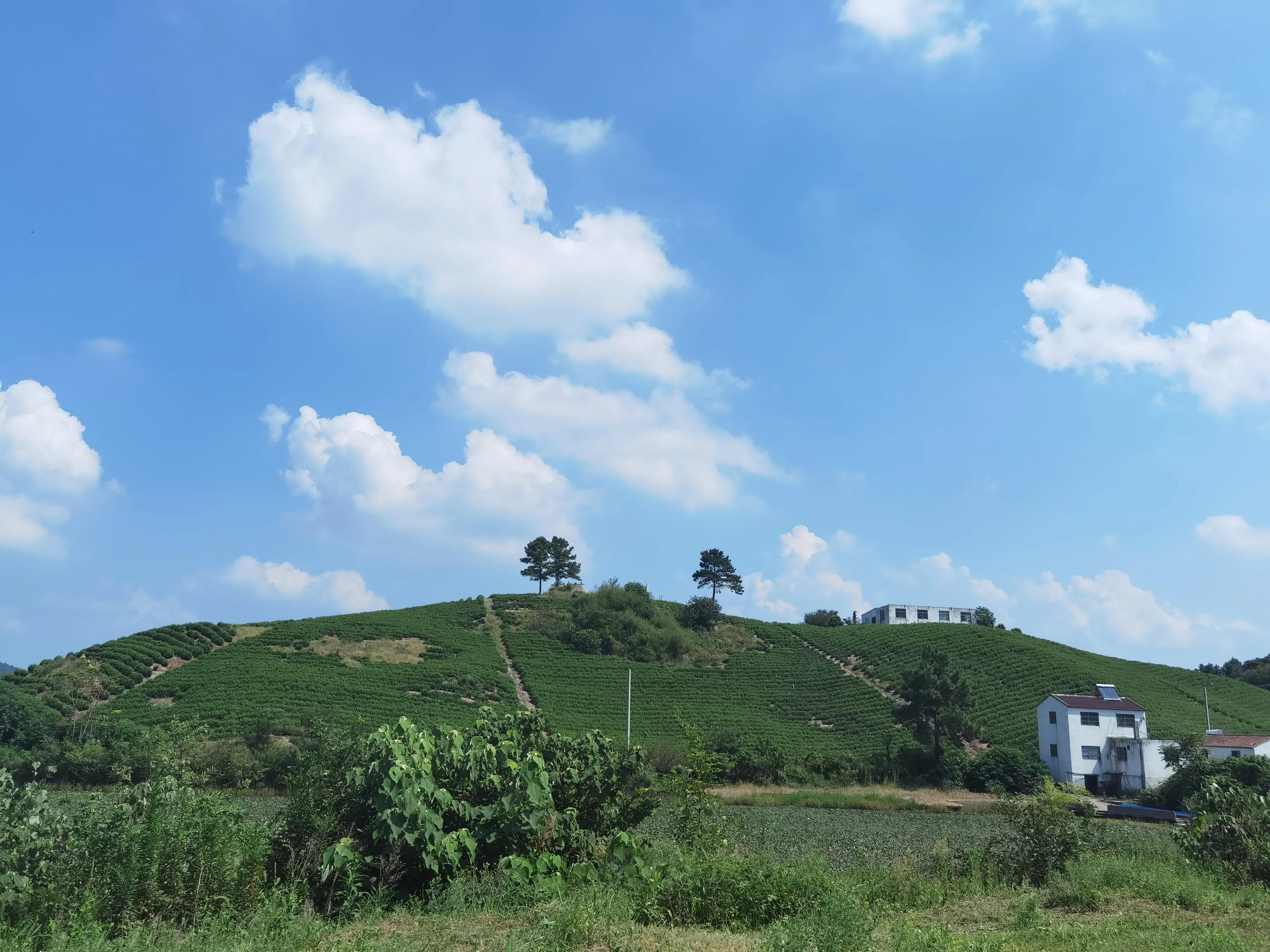 溧阳天目湖山水园有哪些玩的项目,溧阳天目湖山水园路线图怎么画