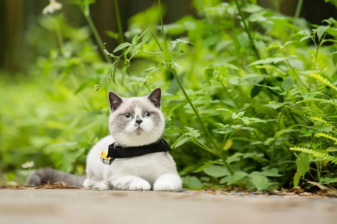 深圳真正的富人真实生活,深圳土豪的现状