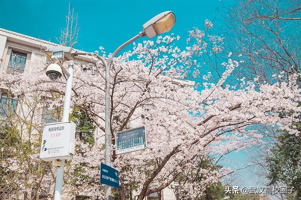 爸妈我想回家视频,爸妈我想回家了原视频