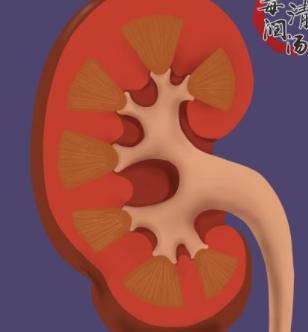 弥漫性结缔组织病是怎样表现,属于弥漫性结缔组织病的是什么