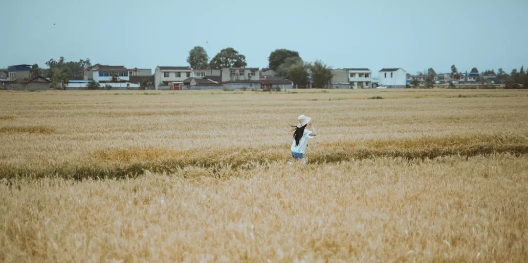 心路经典好文,我走了10年弯路写给你深度好文