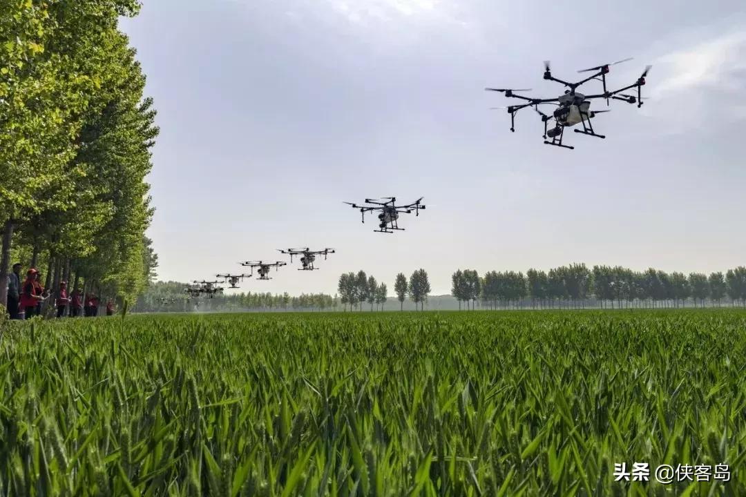 侠客岛:乡愁里的中国