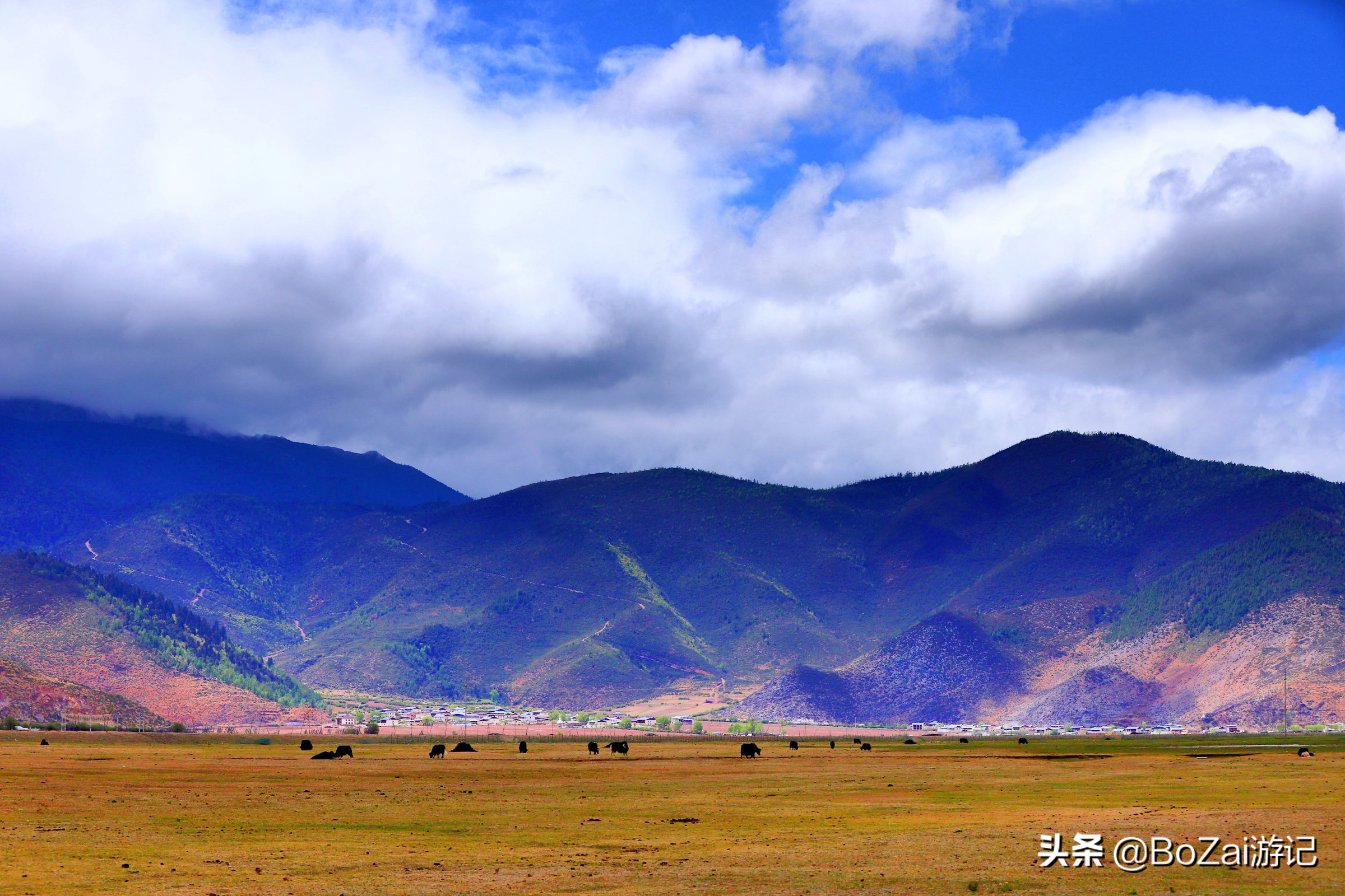 云南迪庆有哪些旅游景点,迪庆最值得去的景点有哪些地方
