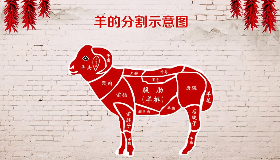 女性体寒既能调理又能补血的食物,女性体寒手脚冰凉是什么原因