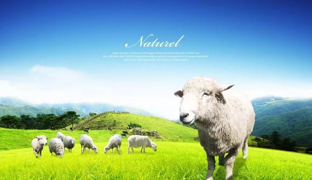 张柏芝为什么要保护三胎,张柏芝第三胎复出时间