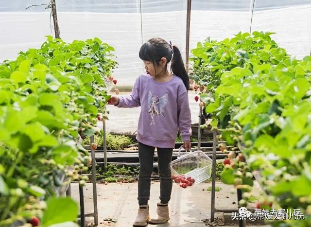 带娃周边3-4天自由行攻略,又到周末要带娃