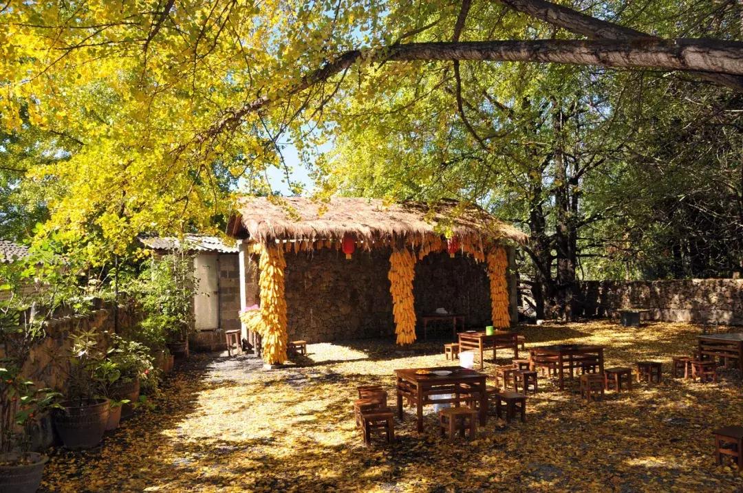 哪怕你去过云南不下10次,秋天的云南都值得你再来一次