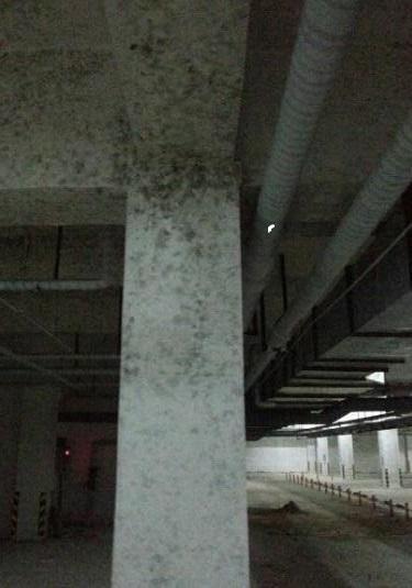 如何解决地下室发霉问题,地下室发霉条件