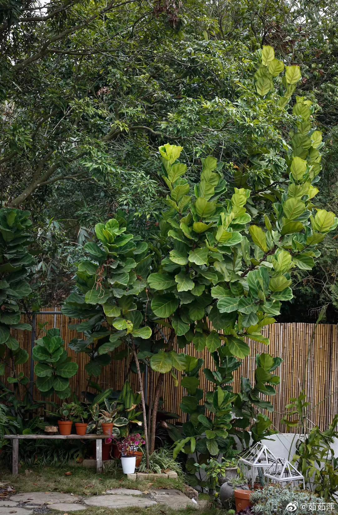 夫妻深山打造500万别墅,90后夫妻隐居山林自建小屋