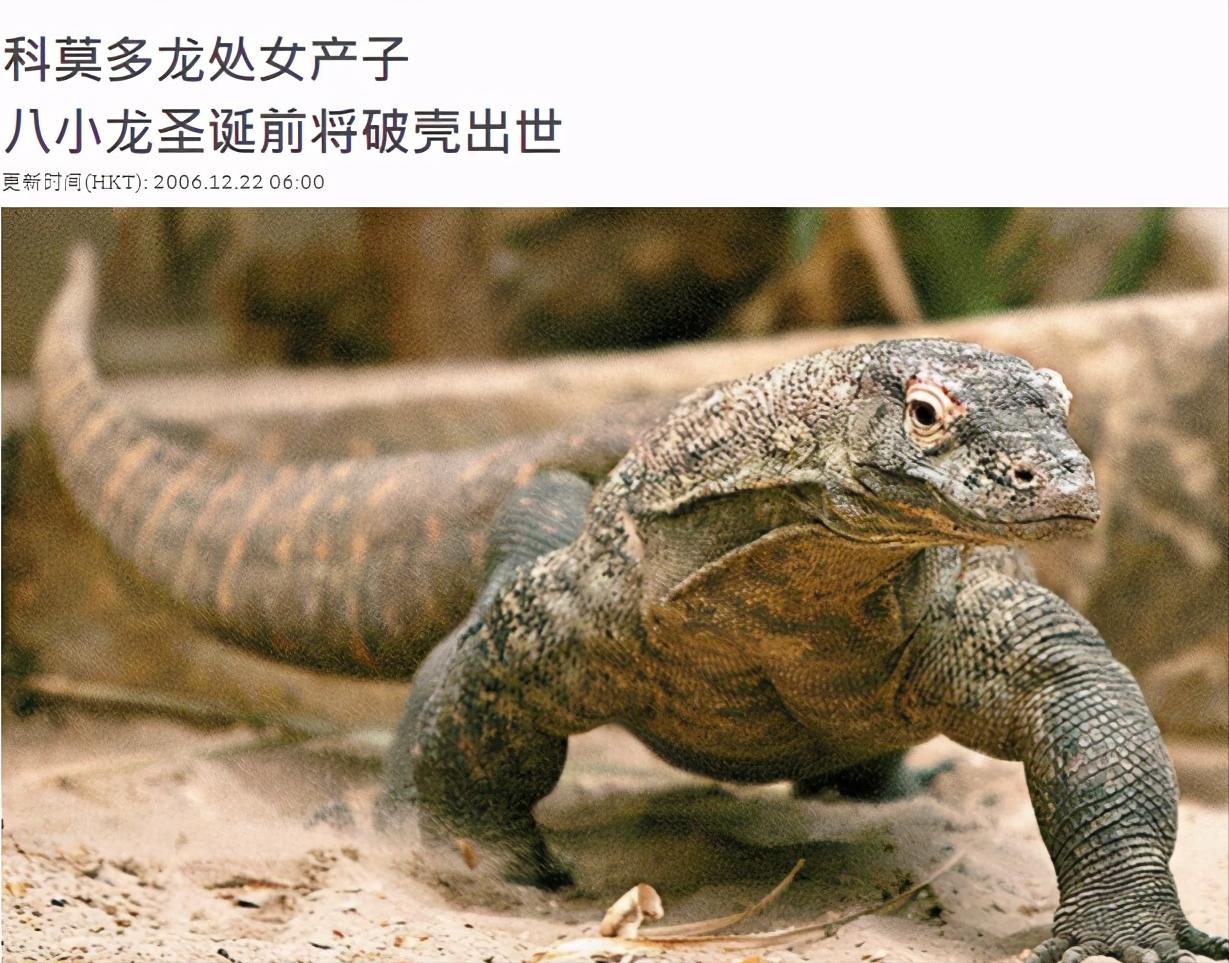 一个成年人被科莫多巨蜥咬了一口，现在的医学水平能救吗？