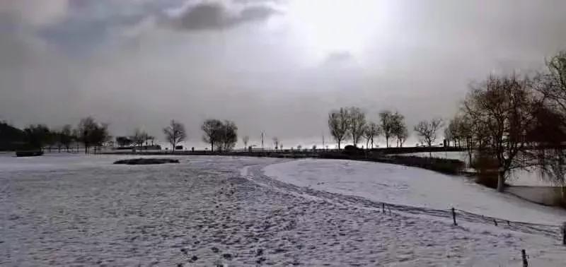 辽宁省高校（三十一）大连医科大学