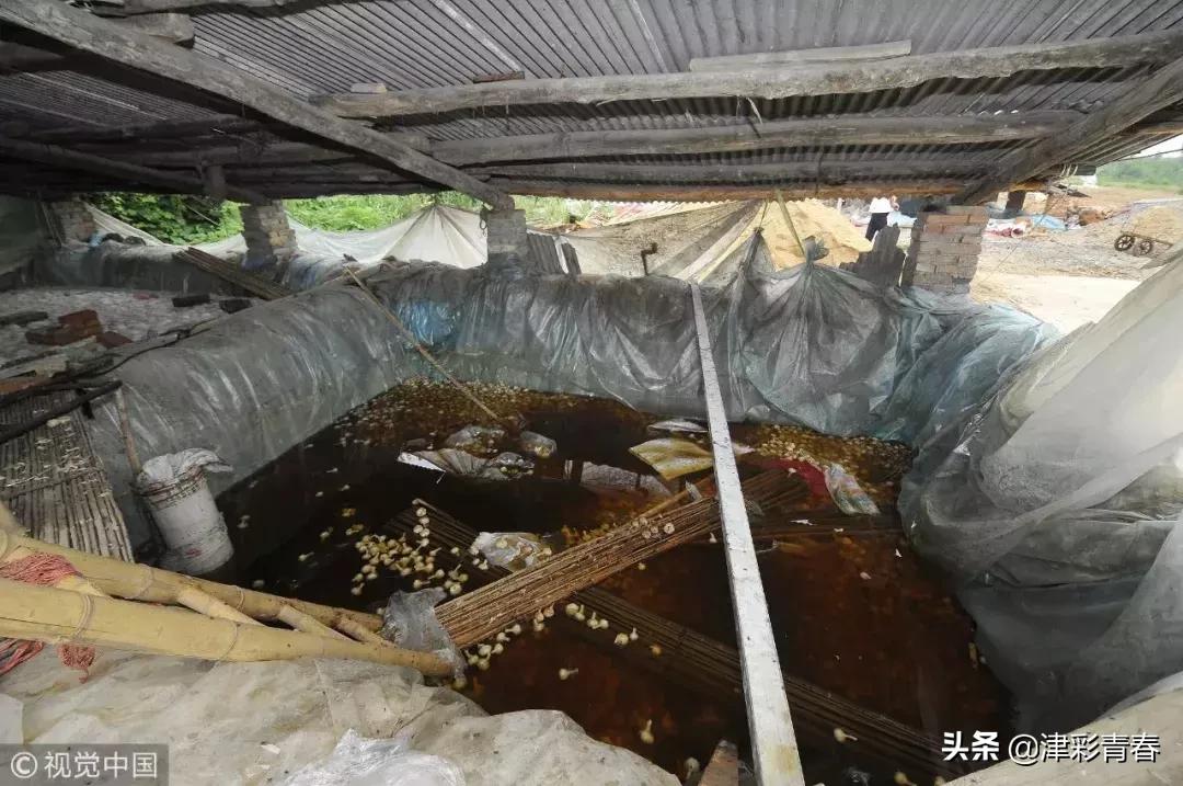 下饭菜会致癌吗,中国人最爱的下饭菜