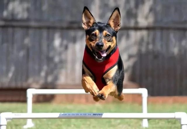 21号线街舞争霸赛,2023街舞总决赛在哪个频道直播