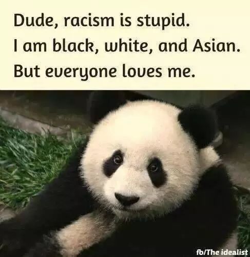 外国人到底有多喜欢熊猫啊,外国人真的很爱熊猫吗