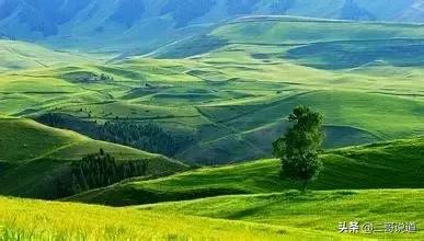 全新疆旅游景点有哪些,新疆带沟的旅游景点