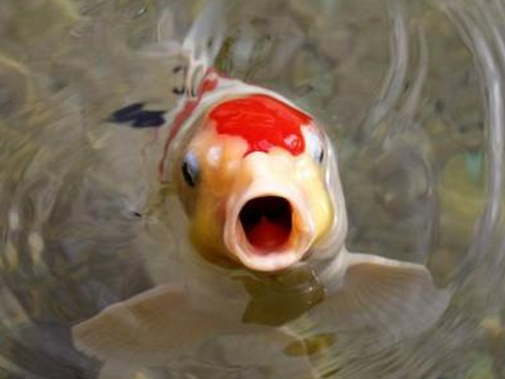 第四代胜达优惠8万,2023款现代胜达旅行家与汉兰达