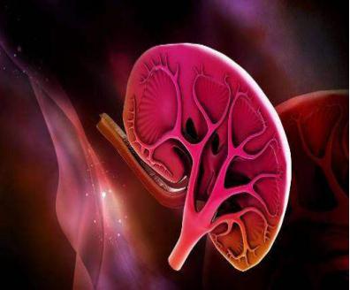 尿尿起沫肾不好吗,尿蛋白高尿尿起泡沫吗