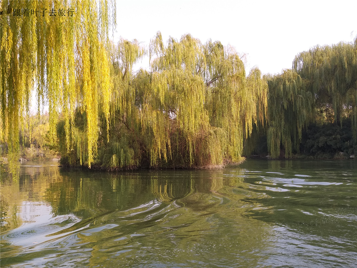 大明湖南丰祠,大明湖南丰祠有什么