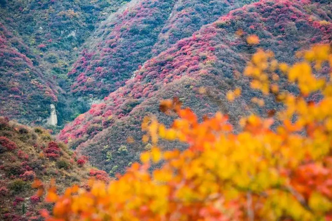 沂水县百强县城排名,沂水全国百强县排名