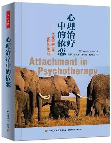 心理治疗中的依恋,心理治疗的依恋