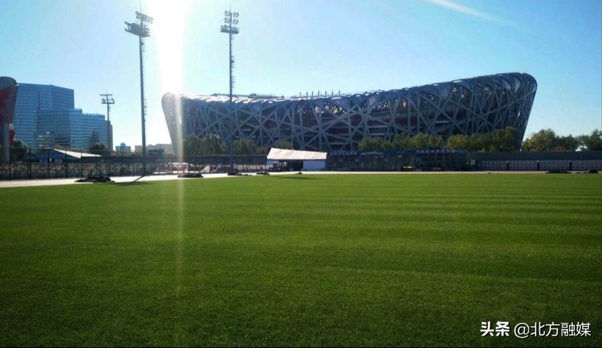 蒙草生态有政策扶持吗,蒙草生态还有救吗