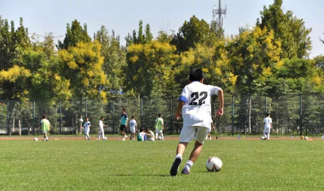 清华教授培养普通人,清华教授教足球