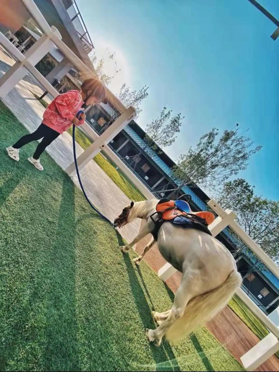 秦皇岛昌黎马术俱乐部,秦皇岛马术训练营