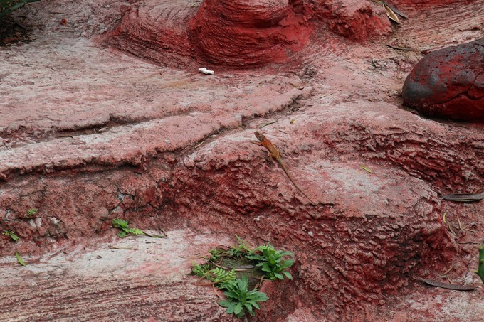 如约而至的涠洲岛,涠洲岛一生所爱
