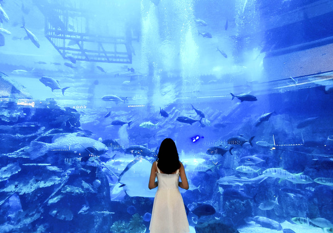 不一样的角度看迪拜,10个冷知识带你认识迪拜