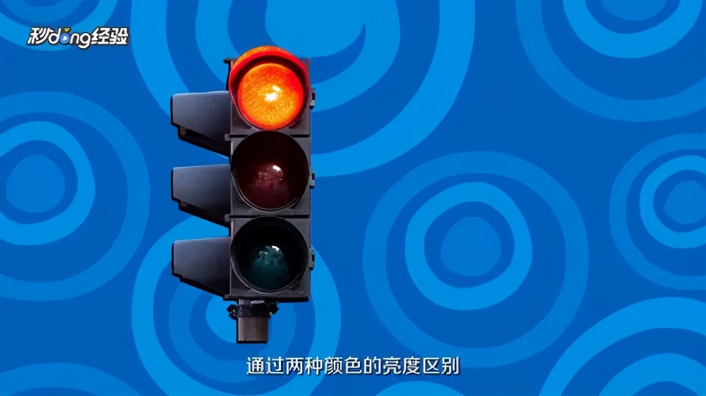 导盲犬被热议视频,导盲犬为什么被指责