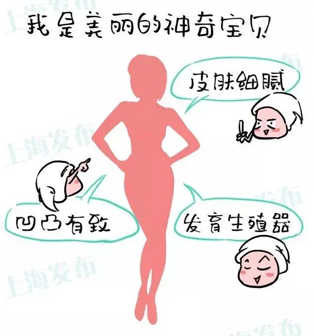 雌激素原来有这些作用