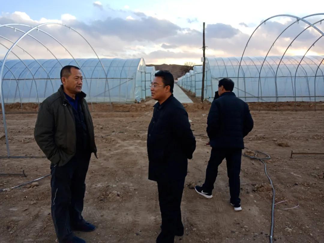 真好！一年挣一百多万元。阳原这个地方的人钱袋子鼓起来了