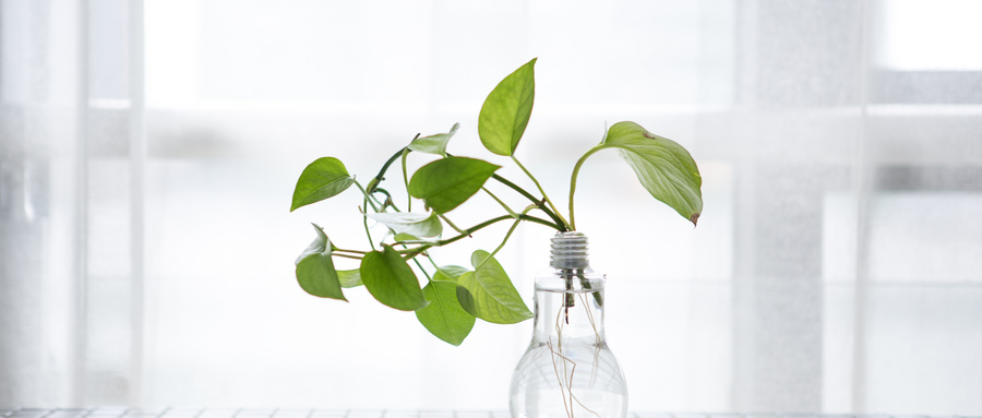 负氧离子讲解视频,负氧离子科普知识大全