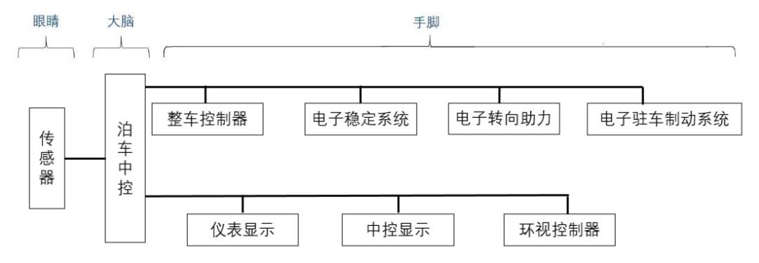 明明是个“老司机”，停车的时候却“脑子死机”