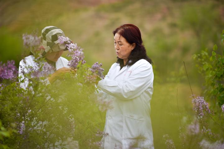 林科专家张锦梅：一“梅”扎根高原播绿半生只为暗香徐来