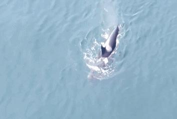 女童被妈妈饿成干尸,亲爸狂扇婴儿巴掌:你不知道,孩子有多爱你
