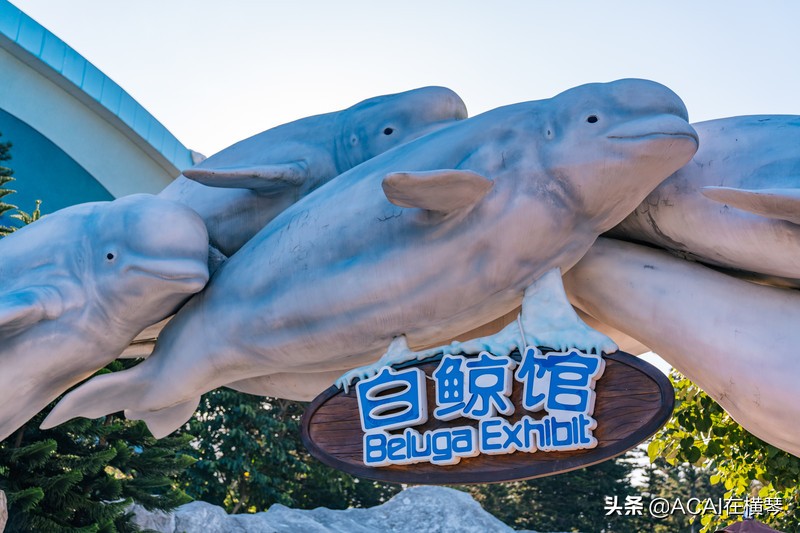 吃喝玩乐in珠海,珠海吃喝玩乐一体的地方