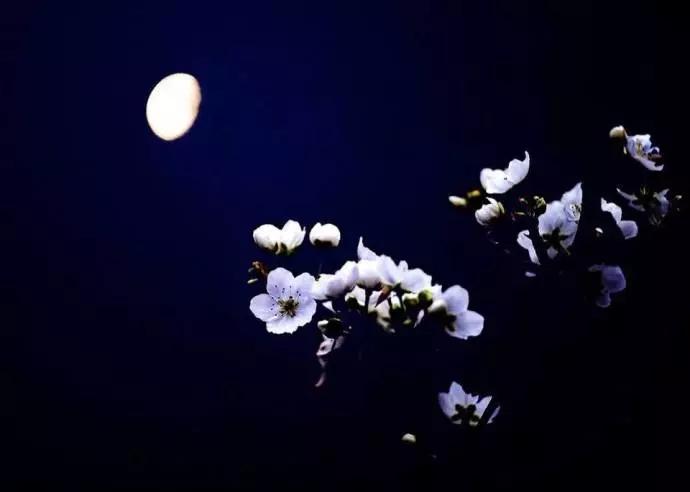 阳历阴历农历三者的关系,农历生日是阴历还是阳历