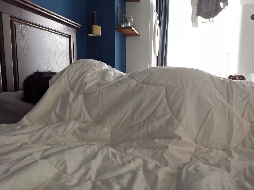 各种被芯,被芯哪种材质比较好