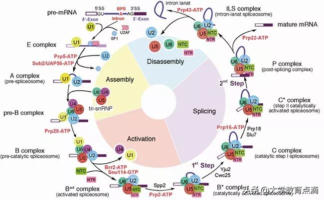 清华最新科技研究成果,清华大学尖端科技成果