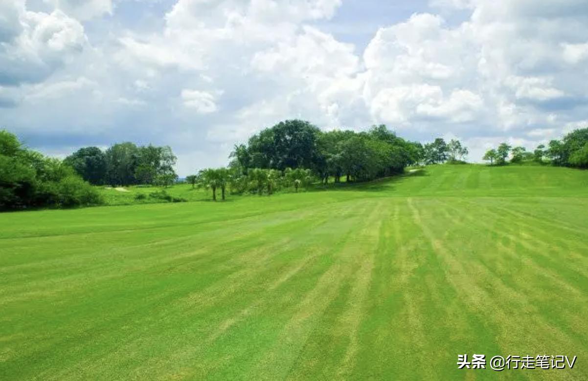 就连白鹭都中意的顶级度假村，不输巴厘岛的惠州候鸟，全家轻奢游