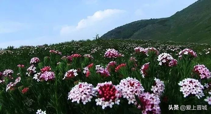 晋城有个啥山,晋城有什么山有名