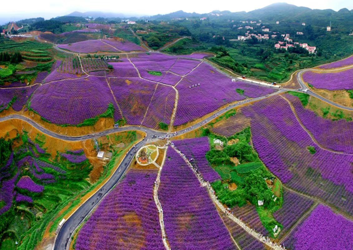 贵州遵义的a级景区有哪些,贵州遵义5a级旅游景点