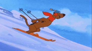 2020宁夏一日游旅游景点推荐,银川一日游最佳地方宁夏海洋公园