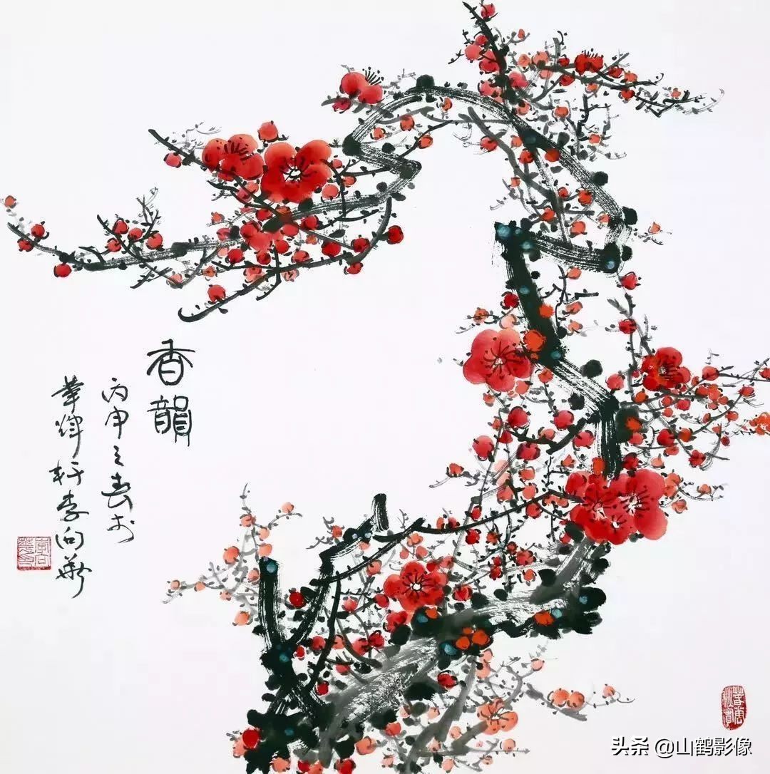 中国四大国花是什么,中国国花牡丹介绍