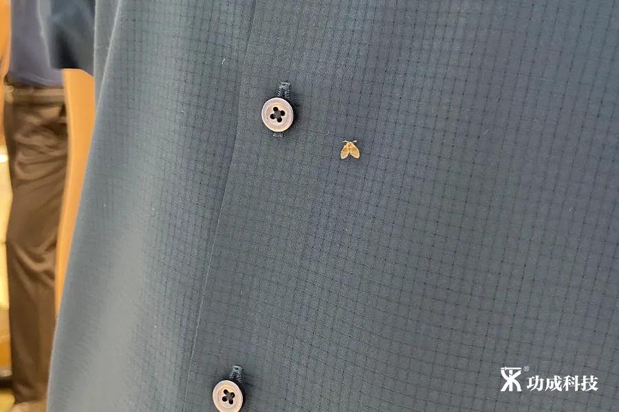 卫生间小虫子蛾蠓怎么来的,卫生间有小虫蛾蚋怎么治