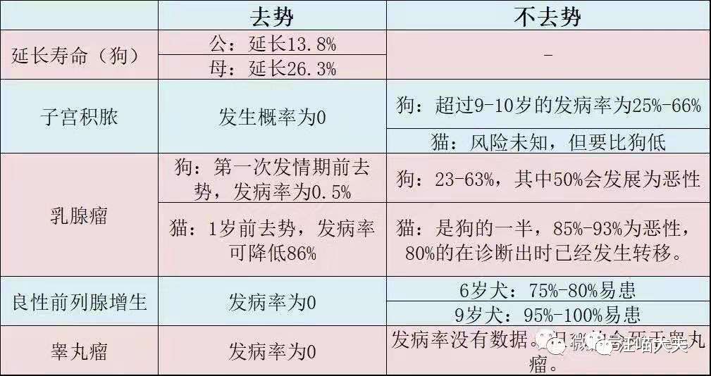 犬猫绝育手术的利与弊
