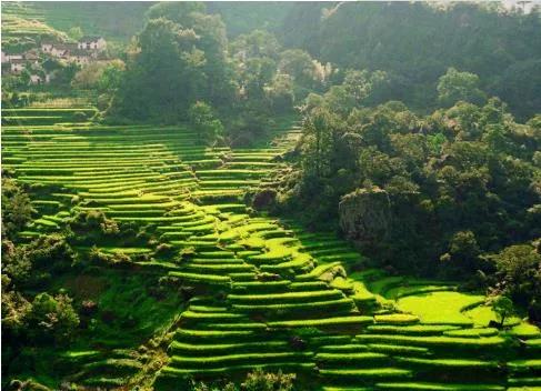 在美国买医疗保险多少钱一年,在美国买商业医疗保险有必要吗