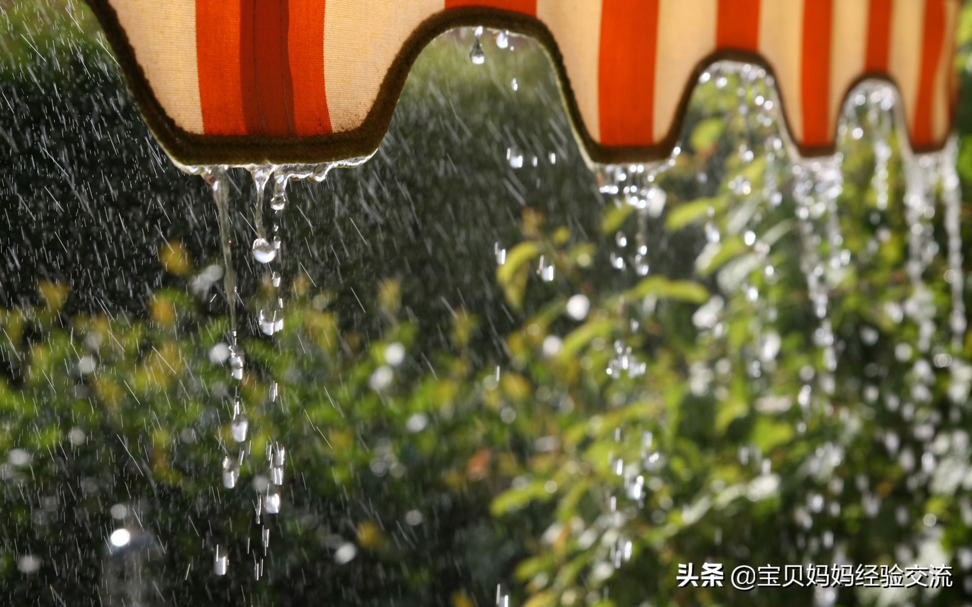 楼房里为什么有很多毛毛怎么解决,房子很多小毛毛怎么处理